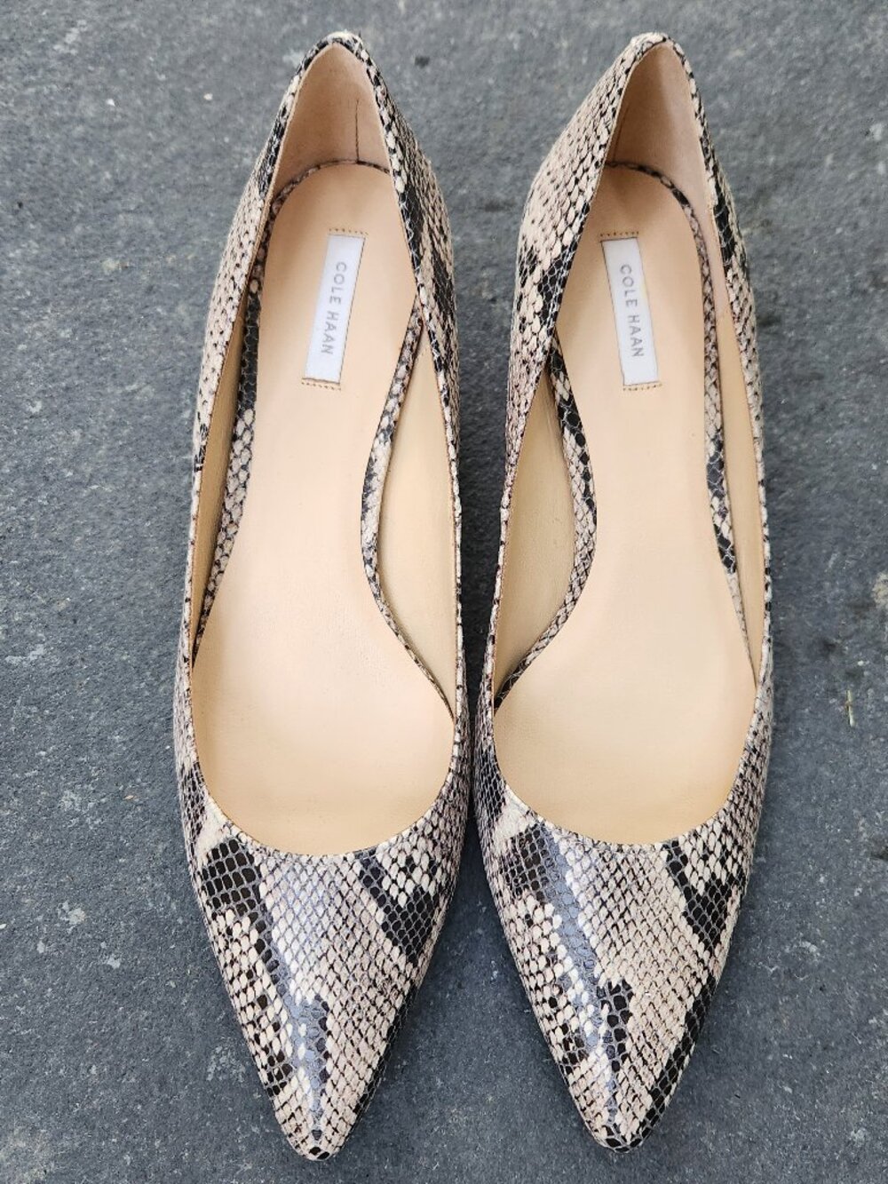 Cole Haan | Leather Snake Reptile Pointed Heels Size 10